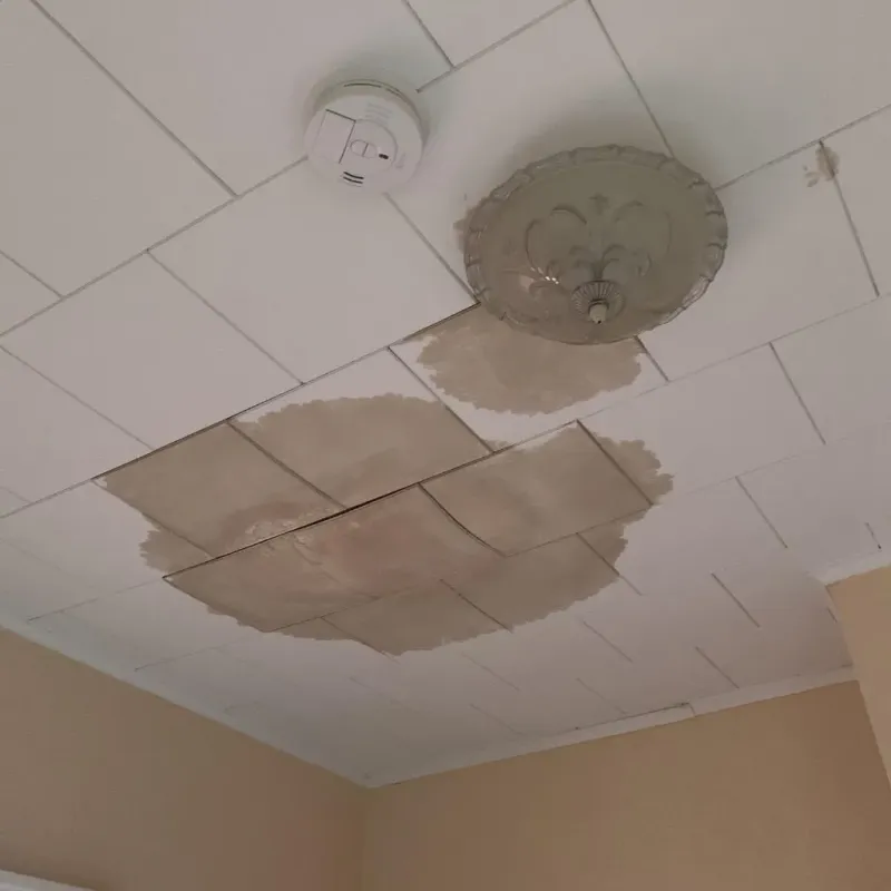 Ceiling Water Damage Repair in Greenlawn, NY