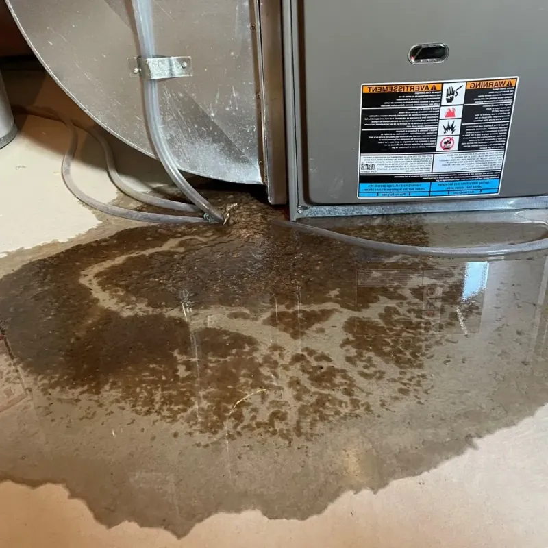 Pipe Burst and Leak Restoration in Greenlawn, NY